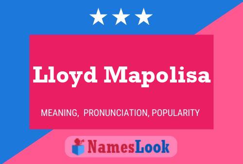 Постер имени Lloyd Mapolisa