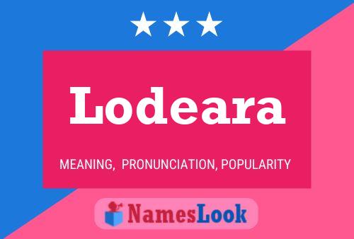 Постер имени Lodeara