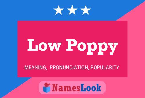 Постер имени Low Poppy