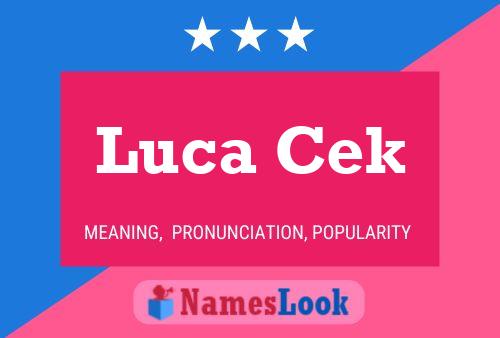 Постер имени Luca Cek