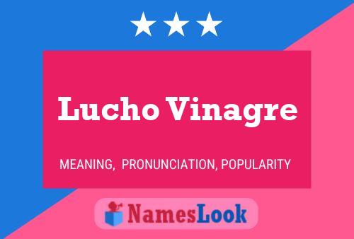 Постер имени Lucho Vinagre