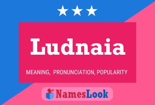 Постер имени Ludnaia