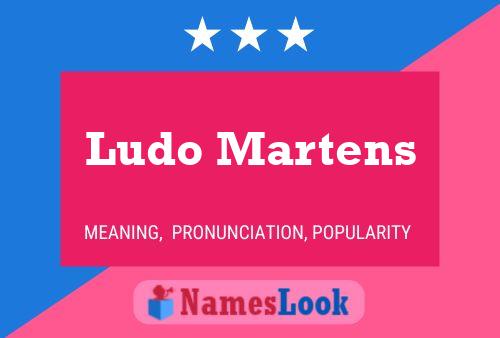 Постер имени Ludo Martens