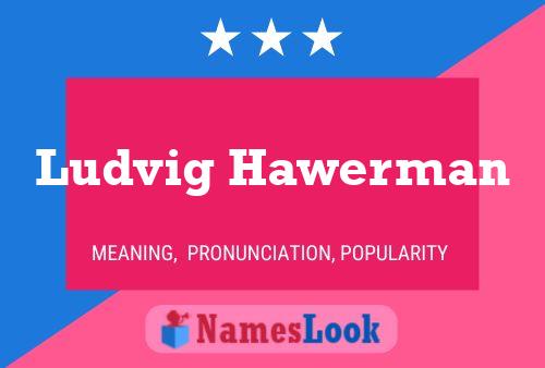 Постер имени Ludvig Hawerman