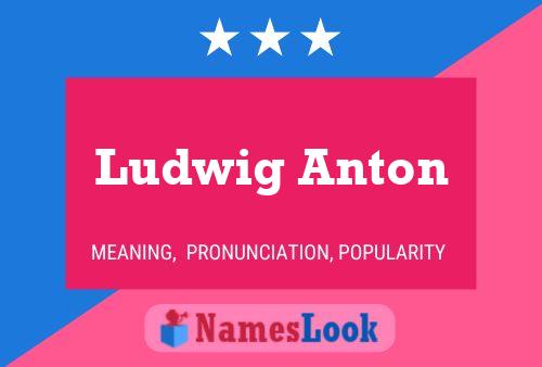 Постер имени Ludwig Anton