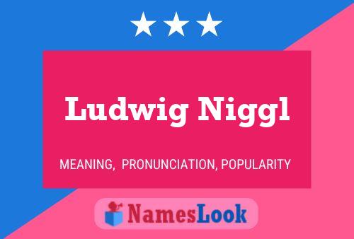 Постер имени Ludwig Niggl