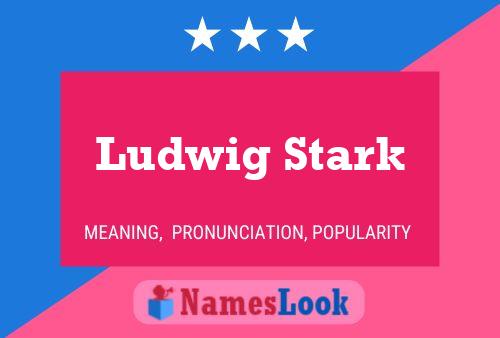 Постер имени Ludwig Stark