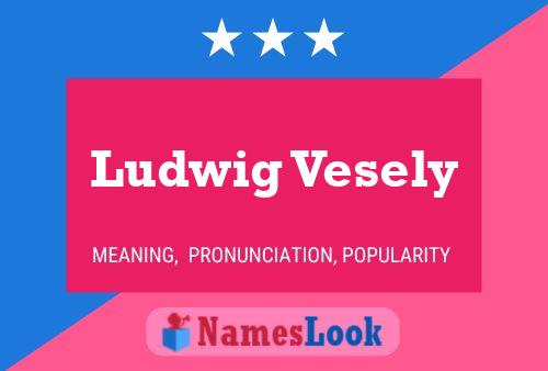 Постер имени Ludwig Vesely