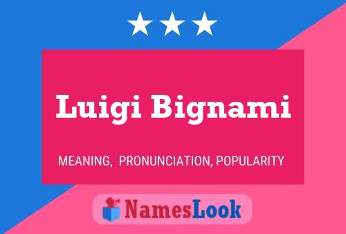 Постер имени Luigi Bignami