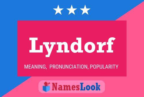 Постер имени Lyndorf