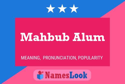 Постер имени Mahbub Alum