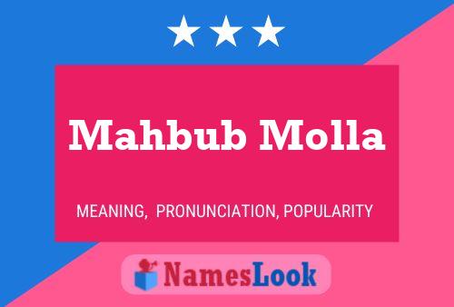 Постер имени Mahbub Molla