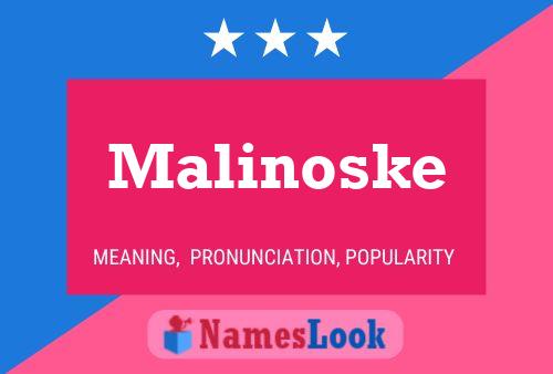 Постер имени Malinoske