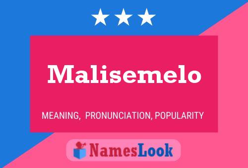 Постер имени Malisemelo