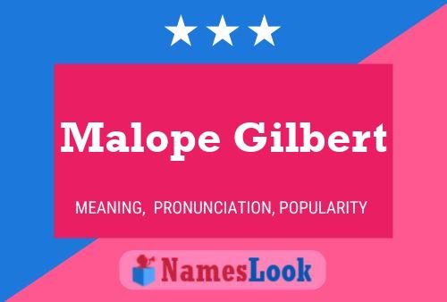 Постер имени Malope Gilbert