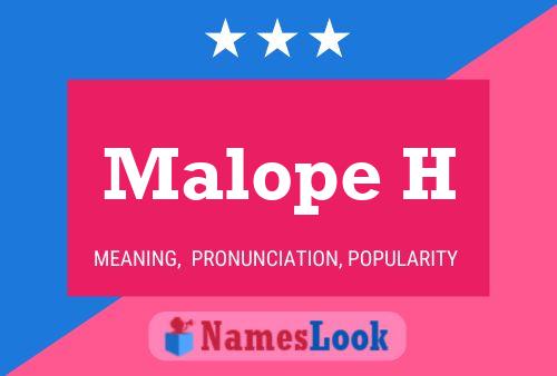 Постер имени Malope H