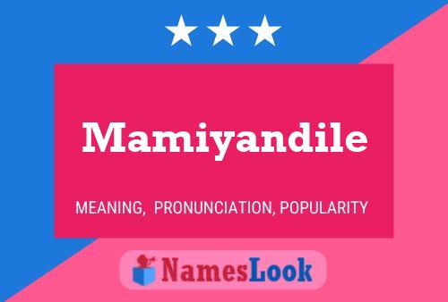 Постер имени Mamiyandile