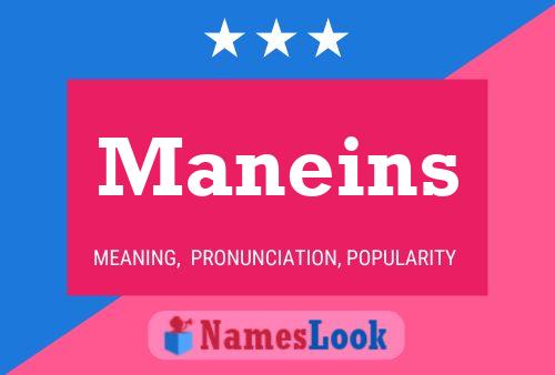 Постер имени Maneins