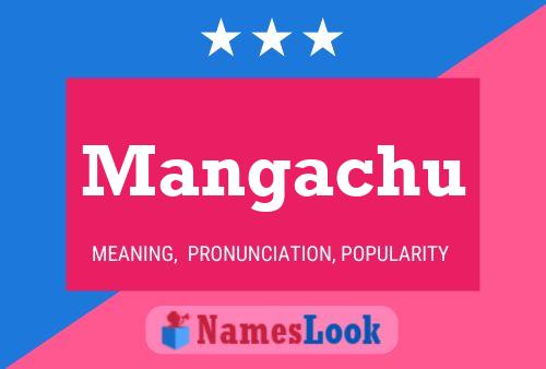 Постер имени Mangachu