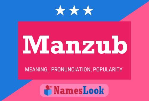 Постер имени Manzub