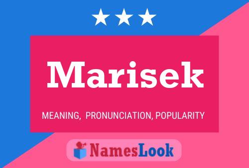 Постер имени Marisek