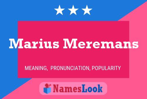 Постер имени Marius Meremans