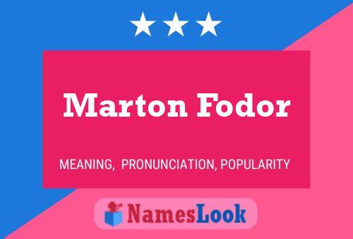 Постер имени Marton Fodor