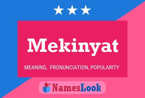 Постер имени Mekinyat