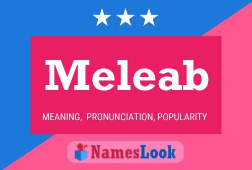 Постер имени Meleab