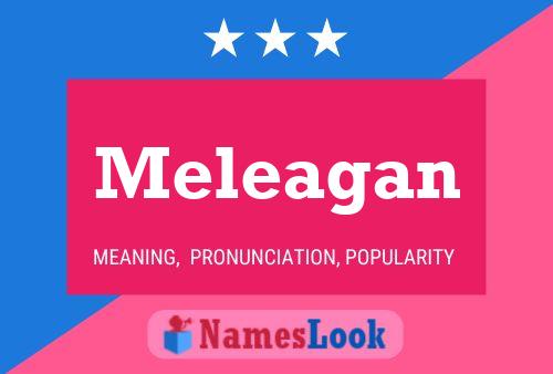 Постер имени Meleagan