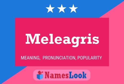 Постер имени Meleagris