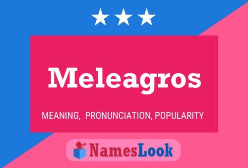 Постер имени Meleagros