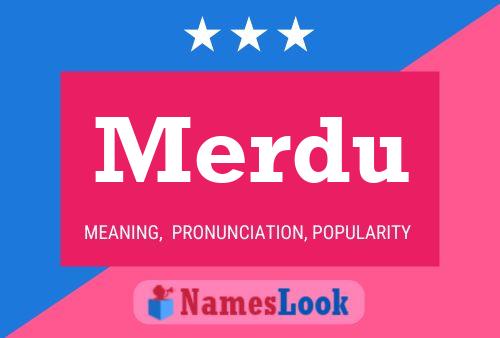 Постер имени Merdu