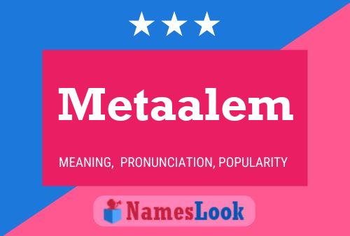 Постер имени Metaalem