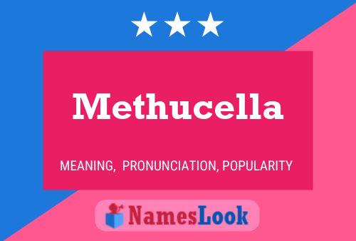 Постер имени Methucella