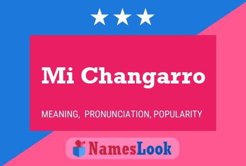 Постер имени Mi Changarro