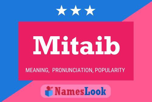 Постер имени Mitaib