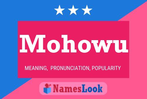 Постер имени Mohowu