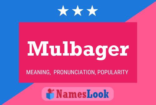 Постер имени Mulbager