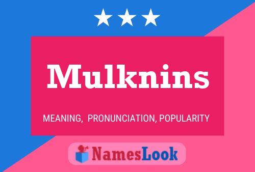 Постер имени Mulknins