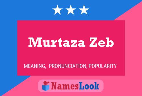 Постер имени Murtaza Zeb