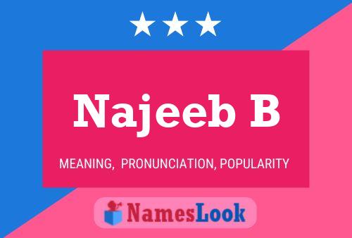 Постер имени Najeeb B