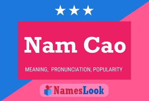 Постер имени Nam Cao