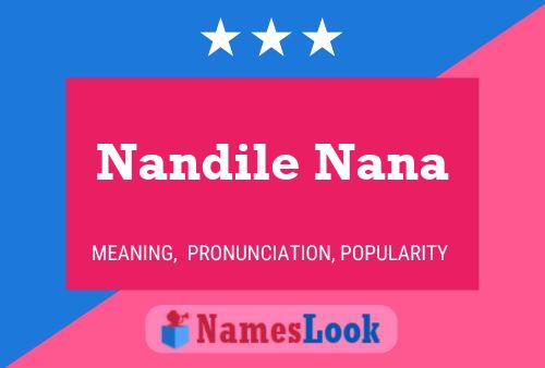 Постер имени Nandile Nana