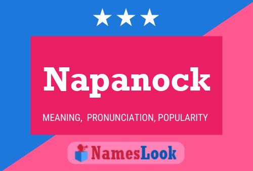 Постер имени Napanock