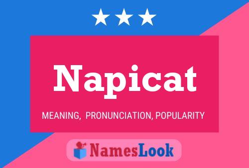 Постер имени Napicat