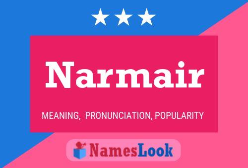 Постер имени Narmair