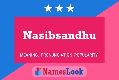 Постер имени Nasibsandhu