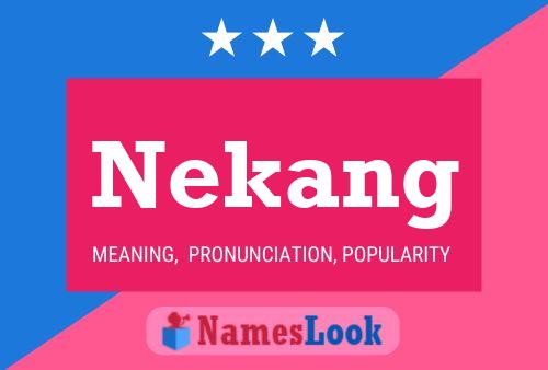 Постер имени Nekang