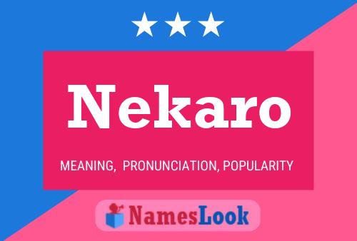 Постер имени Nekaro